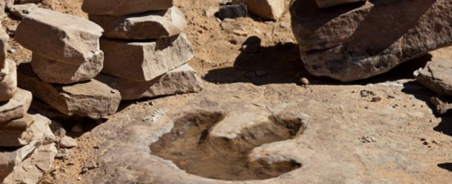 اكتشاف 300 حفرية لآثار أقدام ديناصورات تعود إلى 120 مليون عام بالصين