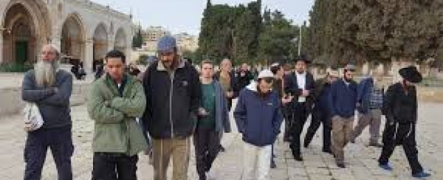 مستوطنون يهود يؤدون طقوسا تلمودية بمحيط مسجد في الخليل