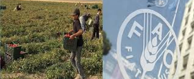 مذكرة تعاون بين المنظمة العربية للتنمية الزراعية ومنظمة الفاو