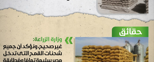الزراعة: جميع شحنات القمح التي تدخل مصر سليمة