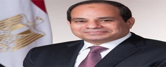 السيسي يؤكد التزام مصر بنجاح برنامج الشراكة مع “يونيدو”