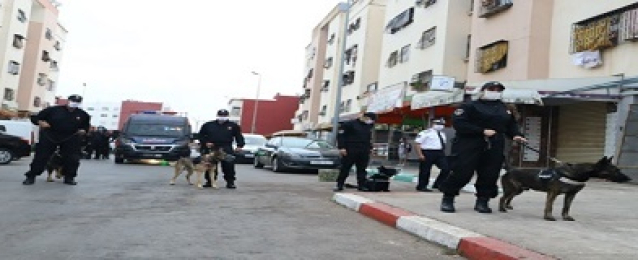 الأمن المغربي يلقي القبض على خلية إرهابية بطنجة تنتمى لتنظيم “داعش”