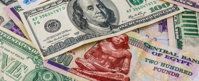 استقرار سعر الدولار الأمريكى أمام الجنية المصرى اليوم
