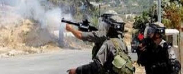 قوات الاحتلال تعتقل 34 فلسطينيا بالضفة الغربية