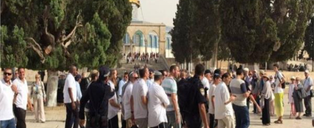 مئات المستوطنين يقتحمون باحات المسجد الأقصى بحماية شرطة الاحتلال