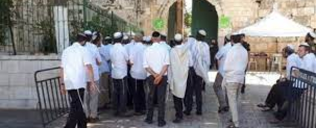 مستوطنون يؤدون صلوات تلمودية أمام أحد أبواب المسجد الأقصى