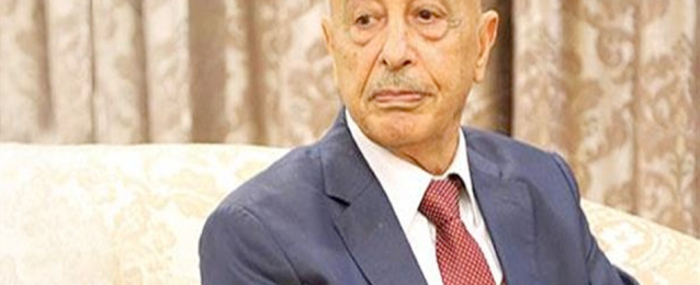 رئيس مجلس النواب الليبي والمبعوث الأمريكي يبحثان تطور الانتخابات