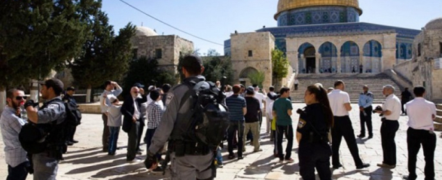 مستوطنون يقتحمون المسجد الأقصى بحماية الاحتلال.. واعتقال 40 فلسطينيا من الضفة خلال 24 ساعة